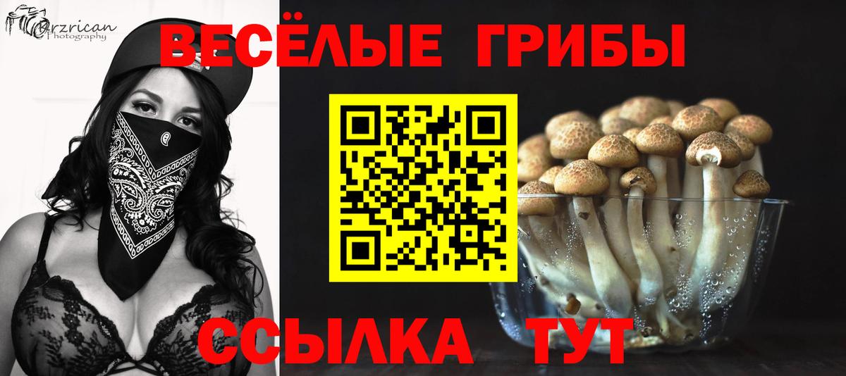 Галлюциногенные грибы Psilocybine cubensis Мичуринск