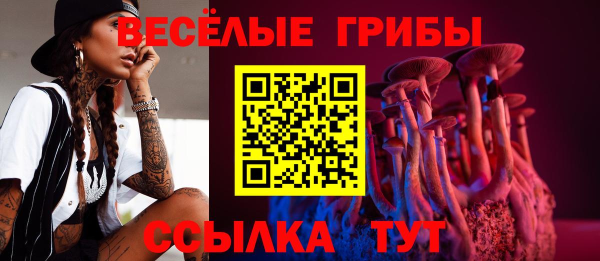 Псилоцибиновые грибы MAGIC MUSHROOMS  Вход с VPN  Псилоцибиновые грибы мицелий  Мичуринск 